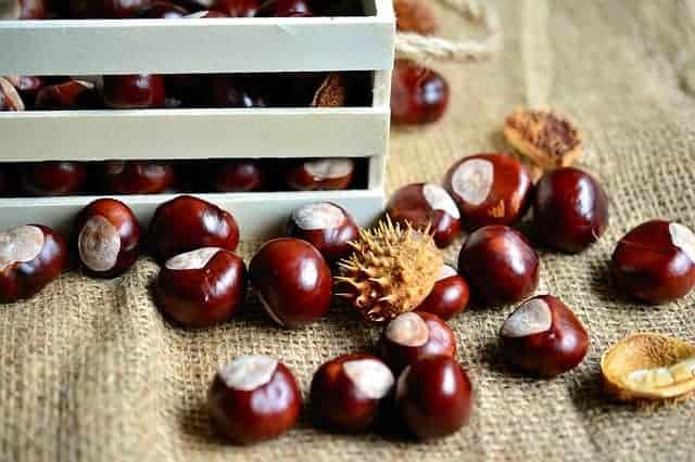 Castagne