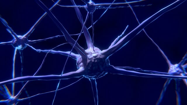 neurone, cellula nervosa