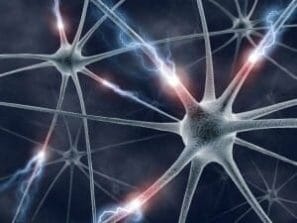 neuroni