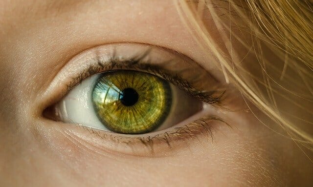 L'occhio di una donna