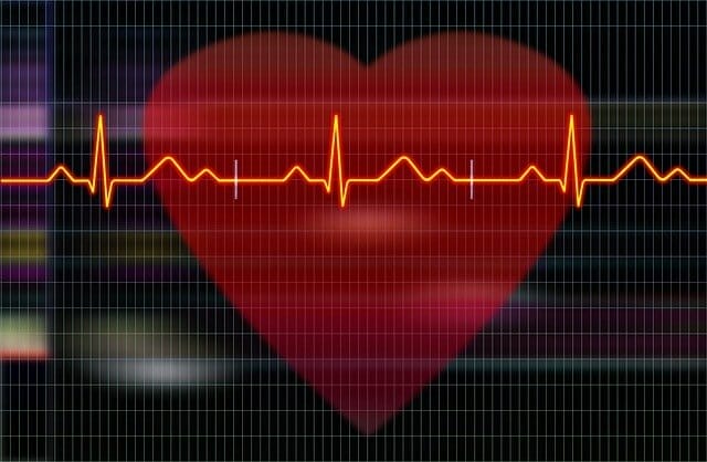 grafico che mostra le registrazioni del cuore e dell'elettrocardiografo