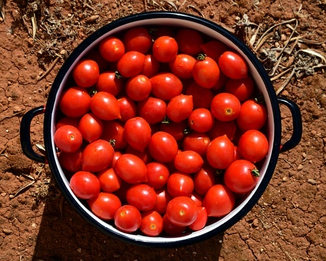  Pomodori in pentola