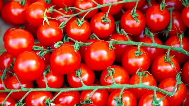 tomatoes 6565238 640