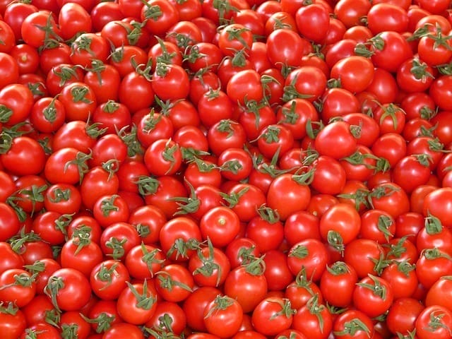  I pomodori