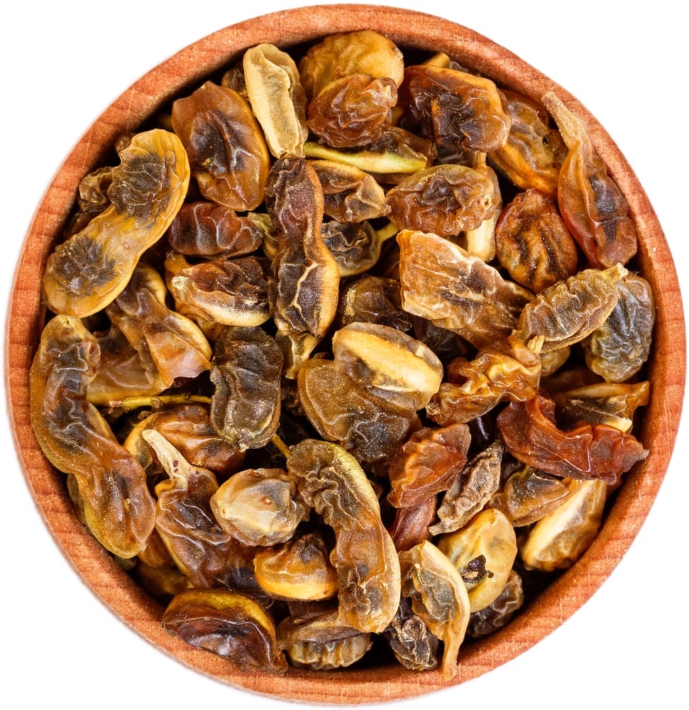 Depositphotos 74468095 S