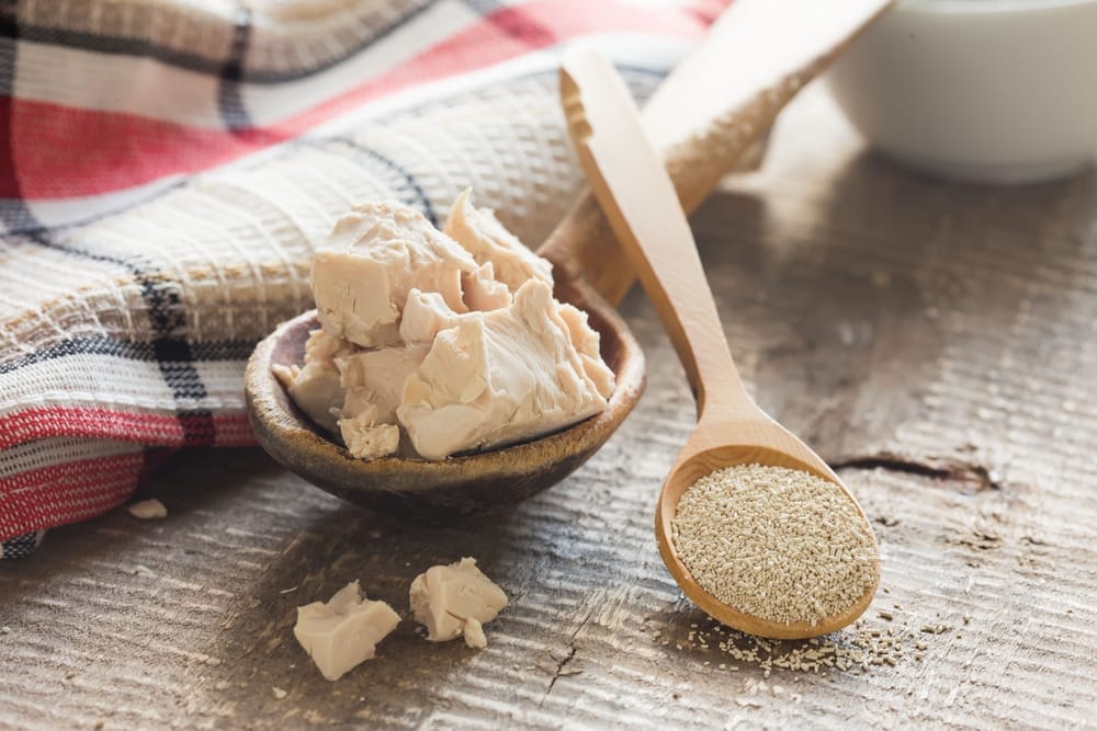 lievito fresco su un cucchiaio, accanto al lievito secco su un cucchiaio